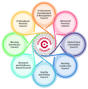 CORE Council Nursing Graphic