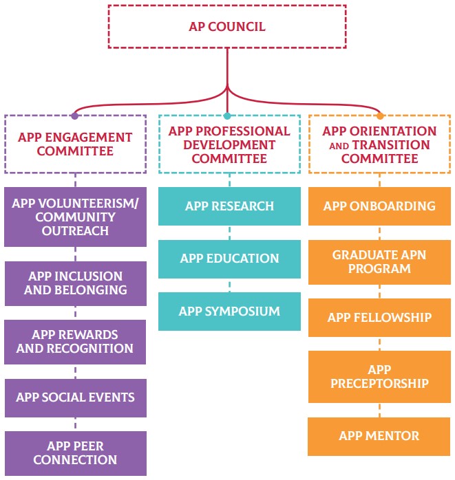 Graphical illustration of Advanced Practice Council hierarchy