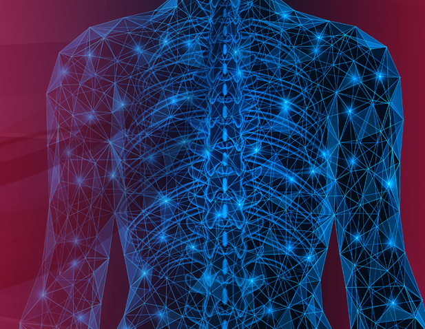 Body Image Illustration