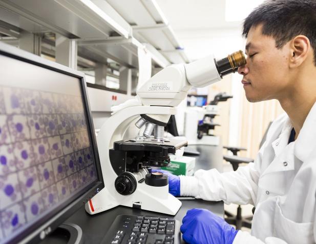 lab worker at microscope
