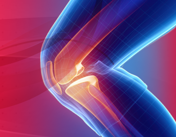 Knee-Orthopaedics-Graphic