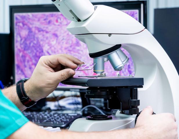 Looking at a tissue sample under a microscope